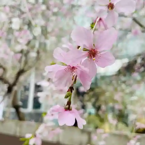 頂法寺（六角堂）(京都府)