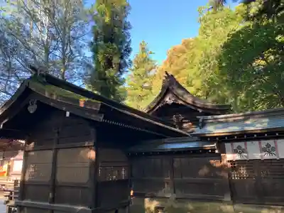 諏訪大社下社秋宮の本殿・本堂