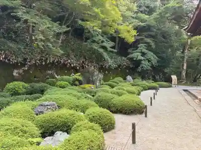 知恩院(京都府)