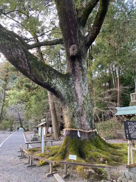 事任八幡宮(静岡県)