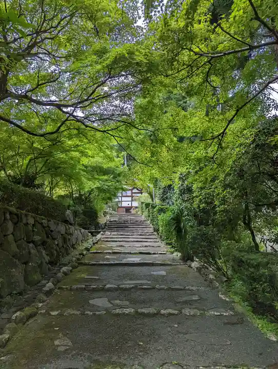正伝護国禅寺(正伝寺・正傳寺)(京都府)