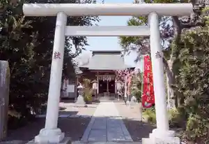 櫻井子安神社の鳥居(2020年09月05日(土) 23時03分02秒投稿)
