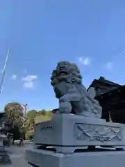 松江八幡宮の狛犬