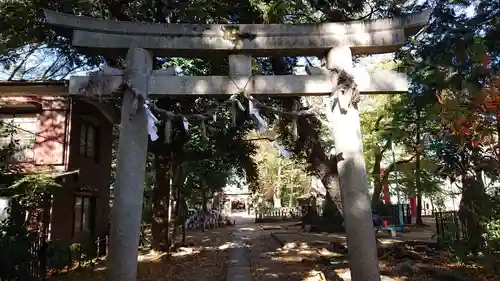 本太氷川神社の鳥居