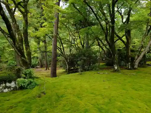 宝厳院(京都府)