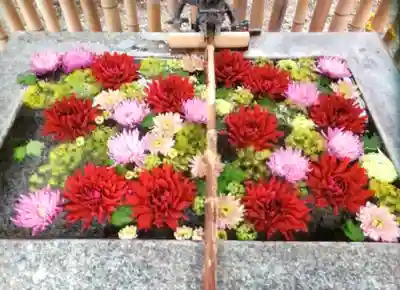 高円寺氷川神社(東京都)
