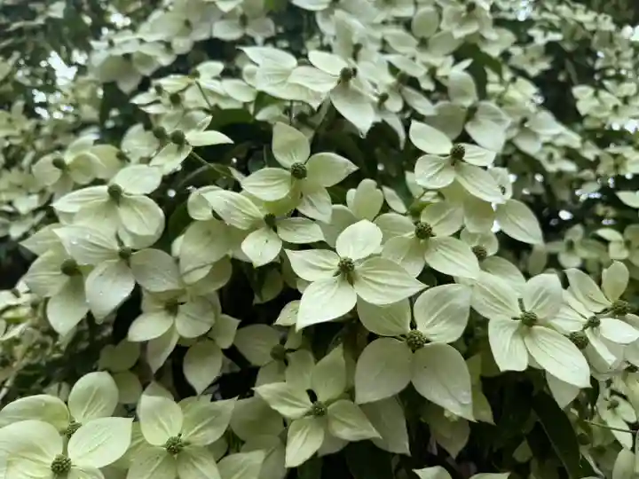美奈宜神社(福岡県)