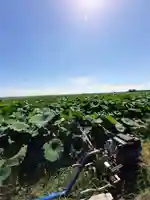八坂神社(茨城県)