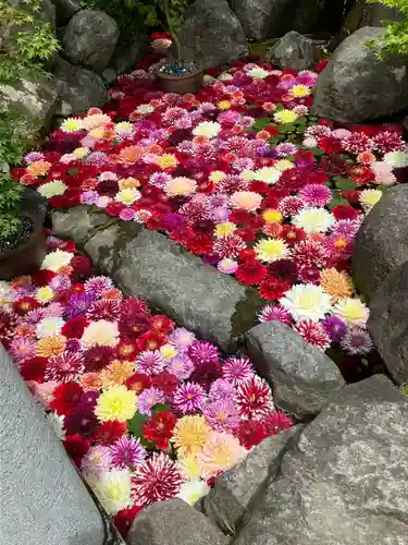 岡寺（龍蓋寺）(奈良県)
