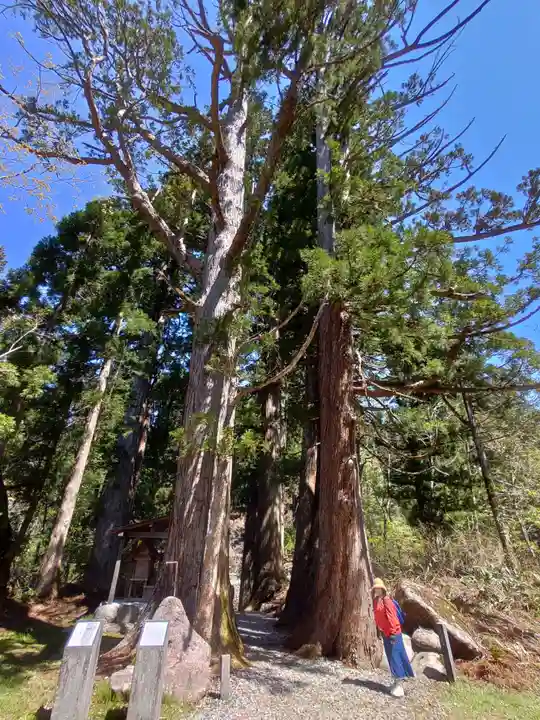 白山中居神社の自然
