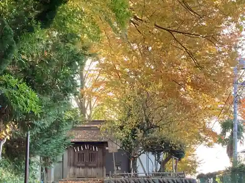 天神社の自然