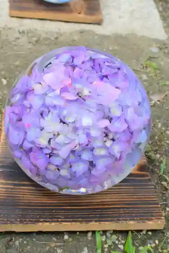 般若寺 ❁﻿コスモス寺❁(奈良県)