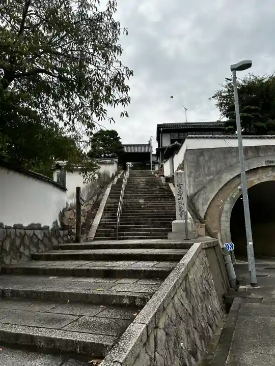 観龍寺の{uncategorized: "未分類", other: "その他", undefined: "問題あり", building: "その他建物", grave: "お墓", sacred_gate: "鳥居", guardian: "狛犬", statue: "像", buddha: "仏像", history: "歴史", nature: "自然", garden: "庭園", animal: "動物", pagoda: "塔", temizu: "手水舎", mountain_gate: "山門・神門", sanctuary: "本殿・本堂", subordinate: "末社・摂社", art: "芸術", scenery: "景色", jizo: "地蔵", ema: "絵馬", goshuin: "御朱印", omikuji: "おみくじ", items: "授与品その他", amulet: "お守り", goshuincho: "御朱印帳", eats: "食事", festival: "お祭り", votive_dance: "神楽", shichigosan: "七五三参", wedding: "結婚式", experience: "体験その他", initially: "初詣", around: "周辺", anti_infection: "感染症対策"}