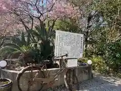 かっぱの寺 栖足寺(静岡県)