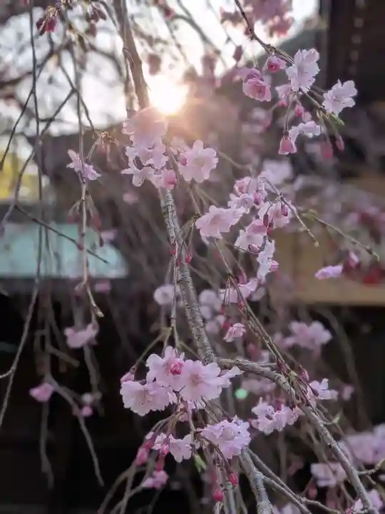 大宮八幡宮(東京都)
