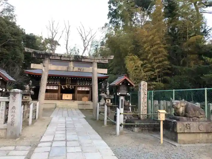 和泉國一之宮 大鳥大社(大阪府)