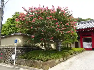 東福寺の自然