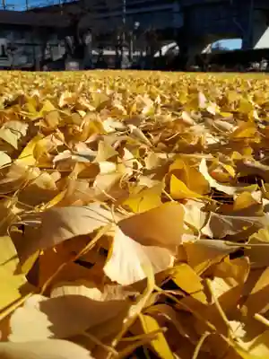 白山神社の自然