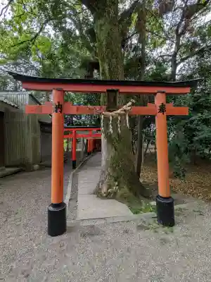 立木神社の{uncategorized: "未分類", other: "その他", undefined: "問題あり", building: "その他建物", grave: "お墓", sacred_gate: "鳥居", guardian: "狛犬", statue: "像", buddha: "仏像", history: "歴史", nature: "自然", garden: "庭園", animal: "動物", pagoda: "塔", temizu: "手水舎", mountain_gate: "山門・神門", sanctuary: "本殿・本堂", subordinate: "末社・摂社", art: "芸術", scenery: "景色", jizo: "地蔵", ema: "絵馬", goshuin: "御朱印", omikuji: "おみくじ", items: "授与品その他", amulet: "お守り", goshuincho: "御朱印帳", eats: "食事", festival: "お祭り", votive_dance: "神楽", shichigosan: "七五三参", wedding: "結婚式", experience: "体験その他", initially: "初詣", around: "周辺", anti_infection: "感染症対策"}