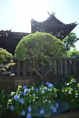 白山神社(東京都)