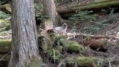 江文神社(京都府)