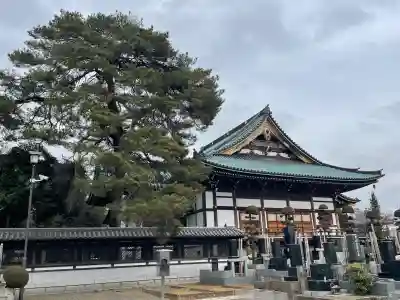 日乗院の{uncategorized: "未分類", other: "その他", undefined: "問題あり", building: "その他建物", grave: "お墓", sacred_gate: "鳥居", guardian: "狛犬", statue: "像", buddha: "仏像", history: "歴史", nature: "自然", garden: "庭園", animal: "動物", pagoda: "塔", temizu: "手水舎", mountain_gate: "山門・神門", sanctuary: "本殿・本堂", subordinate: "末社・摂社", art: "芸術", scenery: "景色", jizo: "地蔵", ema: "絵馬", goshuin: "御朱印", omikuji: "おみくじ", items: "授与品その他", amulet: "お守り", goshuincho: "御朱印帳", eats: "食事", festival: "お祭り", votive_dance: "神楽", shichigosan: "七五三参", wedding: "結婚式", experience: "体験その他", initially: "初詣", around: "周辺", anti_infection: "感染症対策"}