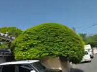 龍眠庵(竜眠庵)(京都府)