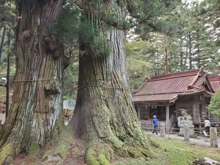 塩原八幡宮(栃木県)