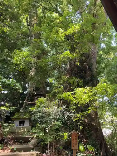 今宮神社(静岡県)