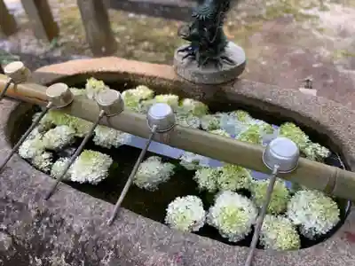 村屋坐弥冨都比売神社の手水舎