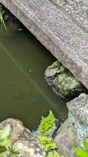 宝蔵寺(京都府)