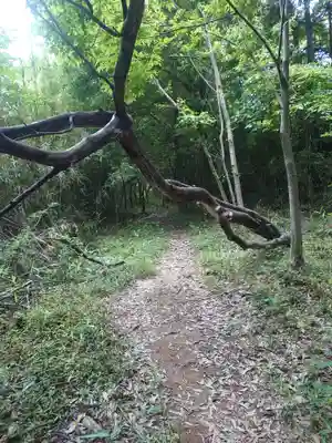 賀茂別雷神社(栃木県)