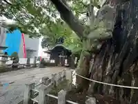 阿邪訶根神社(福島県)