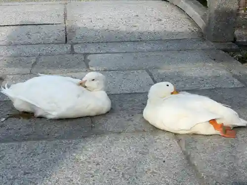 神泉苑(京都府)