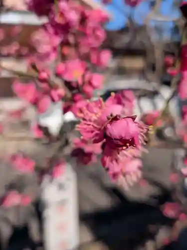 田端神社(東京都)