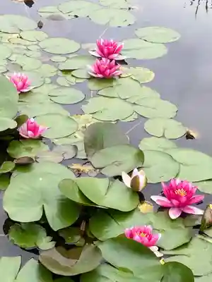賀茂神社(愛知県)