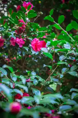 伊奈冨神社(三重県)