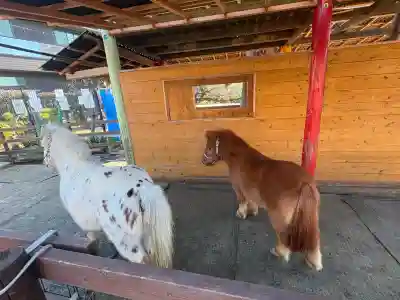 五方山熊野神社(東京都)
