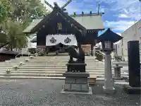 札幌諏訪神社の狛犬