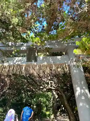 阿波命神社(東京都)