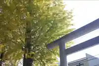 阿佐ヶ谷神明宮(東京都)