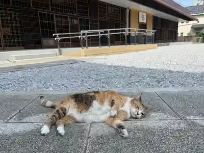 秩父札所十三番 慈眼寺(埼玉県)