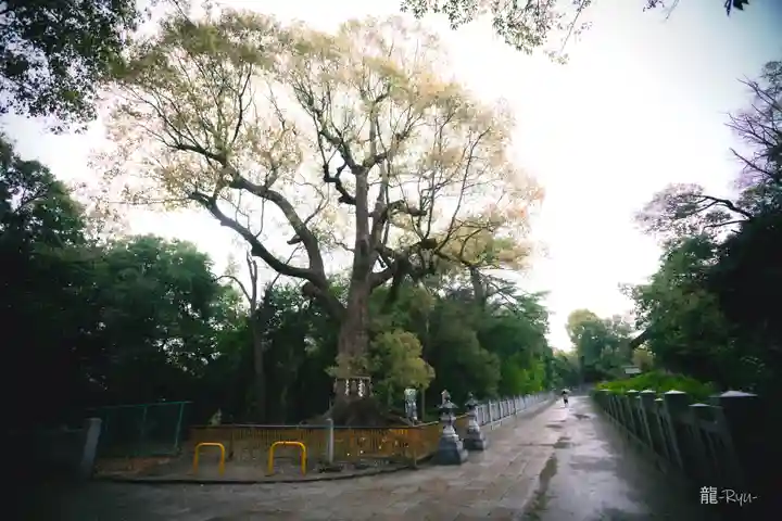 和泉國一之宮 大鳥大社(大阪府)