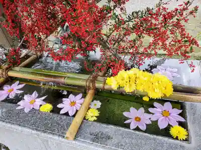 今市報徳二宮神社(栃木県)