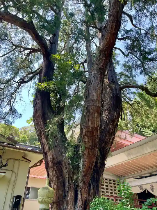 真福寺(神奈川県)