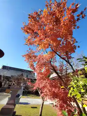 梁川天神社(福島県)