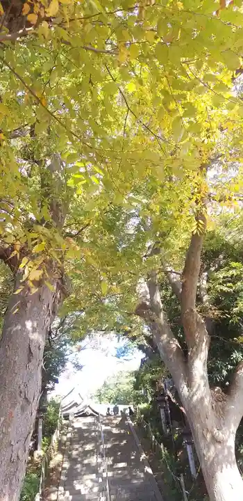 検見川神社の自然