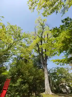 神炊館神社 ⁂奥州須賀川総鎮守⁂(福島県)