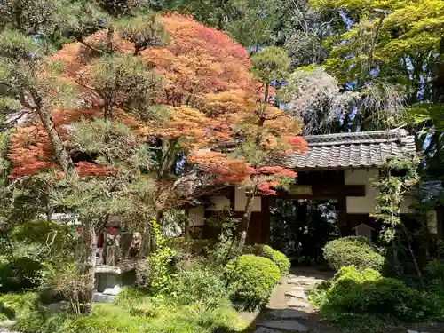 瑞鳳寺のその他建物