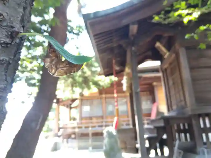 杉杜白髭神社(福井県)